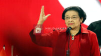Megawati Komentari Polemik Ijazah Palsu Jokowi