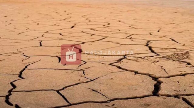 Prediksi Musim Kemarau 2025