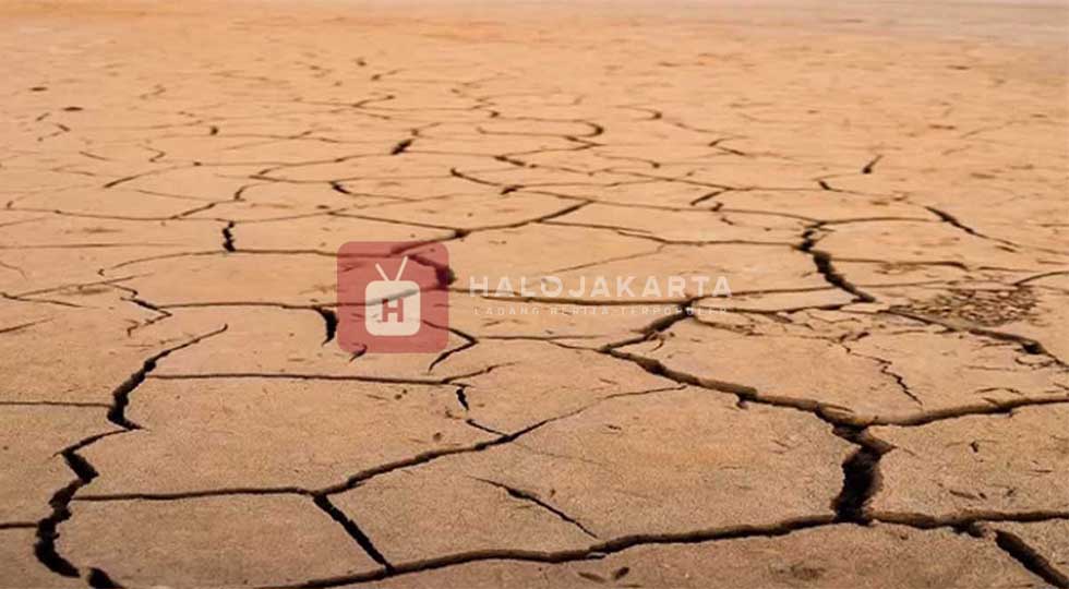 Prediksi Musim Kemarau 2025
