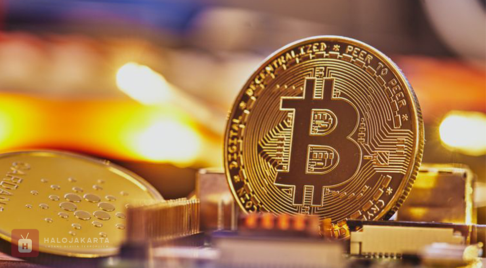 Bitcoin Anjlok Usai Trump Tolak Maju Pilpres