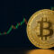 Bitcoin Tembus USD 124 Ribu, Investor Hadapi Volatilitas