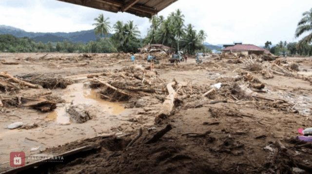 Data Korban Tewas Bencana Sumatera