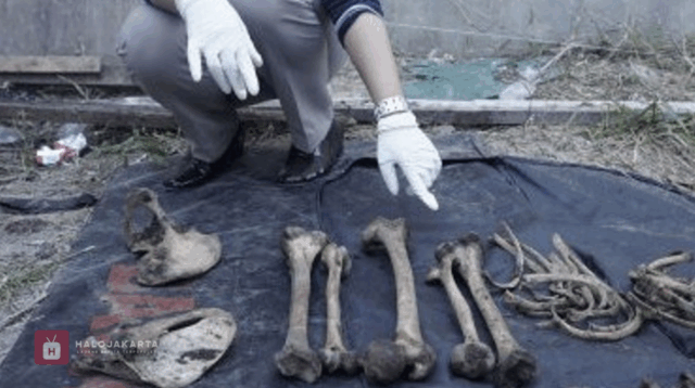 Kerangka Manusia Kwitang