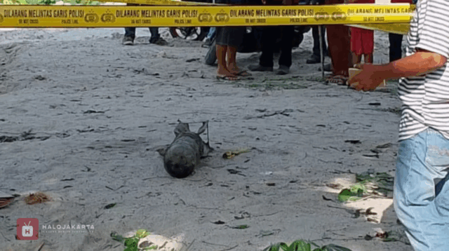 Pemulung Bekasi Tewas Akibat Ledakan Mortir