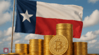 Texas Negara Bagian AS Pertama Investasi Bitcoin Texas Negara Bagian AS Pertama Investasi Bitcoin