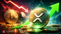 Bitcoin & Ethereum Tertekan, Sentimen XRP Malah Makin Positif!
