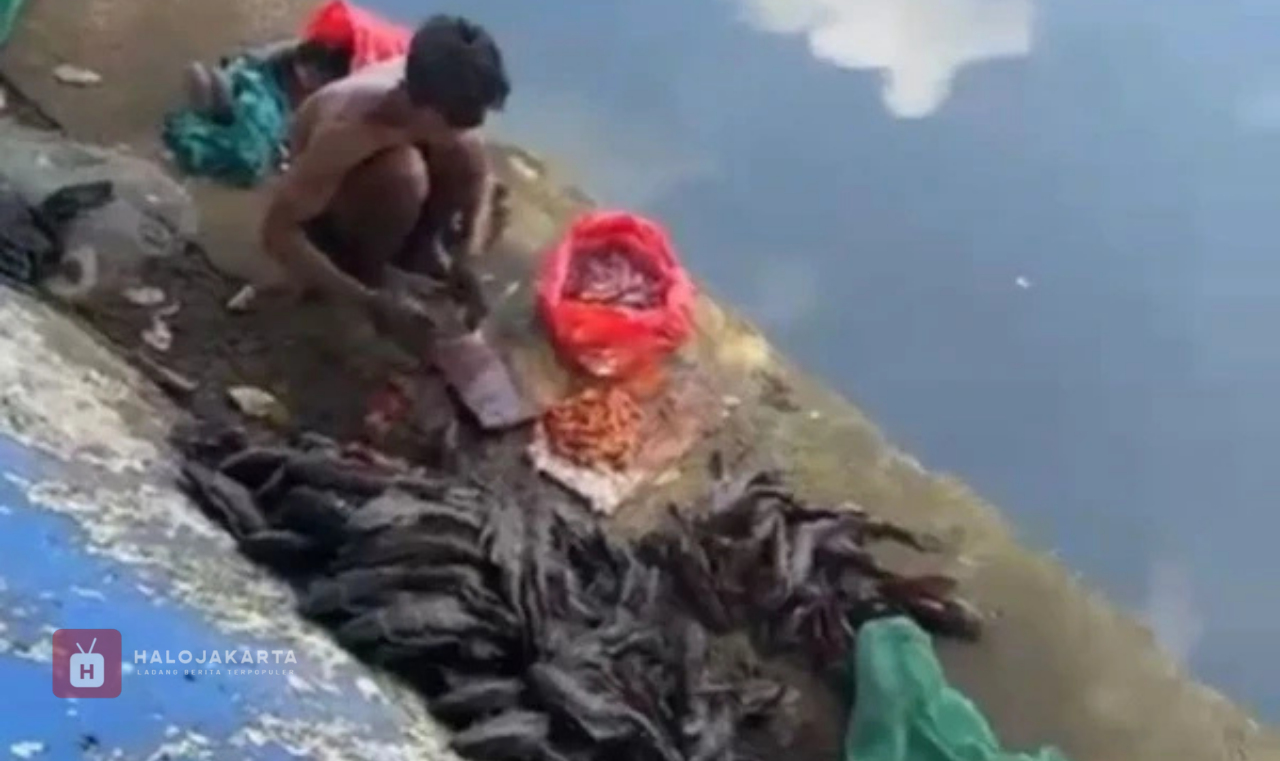 Lima Pria Diamankan Satpol PP Saat Cari Ikan Sapu-Sapu untuk Bahan Siomay di Jakpus